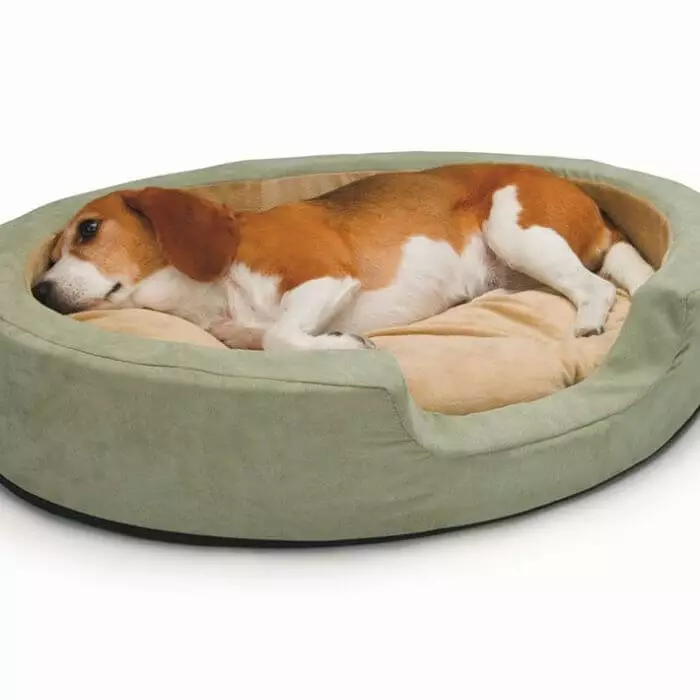 camas de descanso para perros