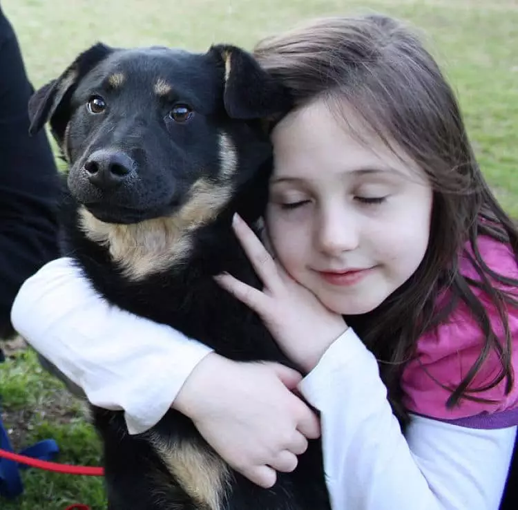 los perros mestizos pueden ser una elección perfecta para los niños, dales una oportunidad