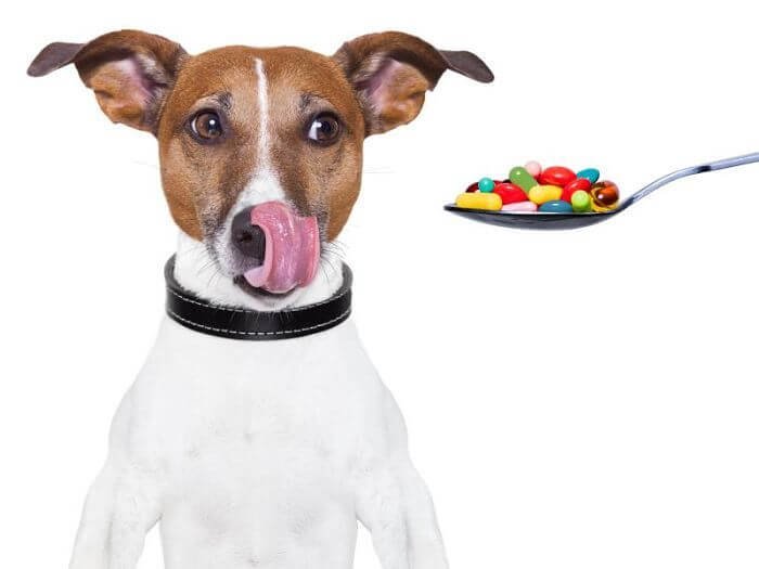 es necesaria las vitaminas para perros
