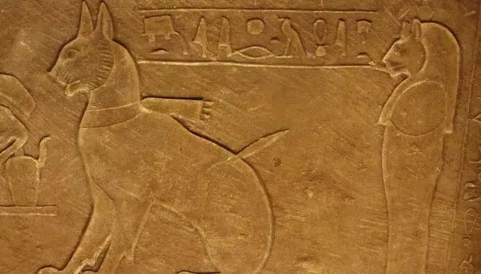 el antiguo egipto y los gatos 