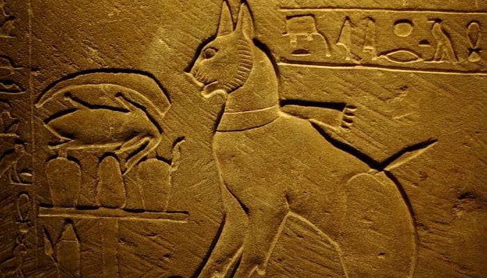 los gatos en el antiguo Egipto