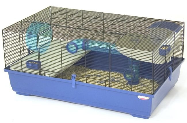 que-jaula-es-mejor-para-un-hamster-1