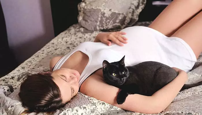 mitos de las enfermedades que causan los gatos a las mujeres