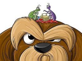 pulgas en los perros