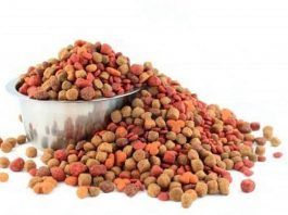 comida para perros