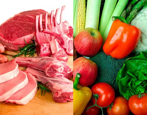 Alimentos para perros