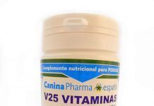 Vitaminas para perros