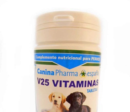 Vitaminas para perros