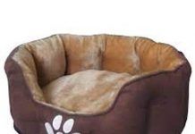 Camas para perros