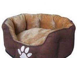 Camas para perros