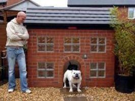 Casas Para Perros