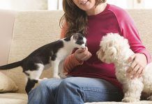 6 Pasos para una efectiva introducción entre perros y gatos