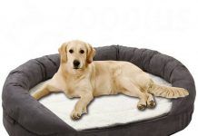 Las 7 preguntas y respuestas sobre las camas para perros camas para perros