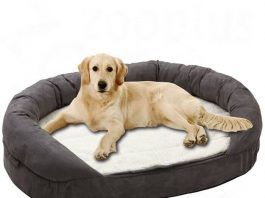 camas para perros