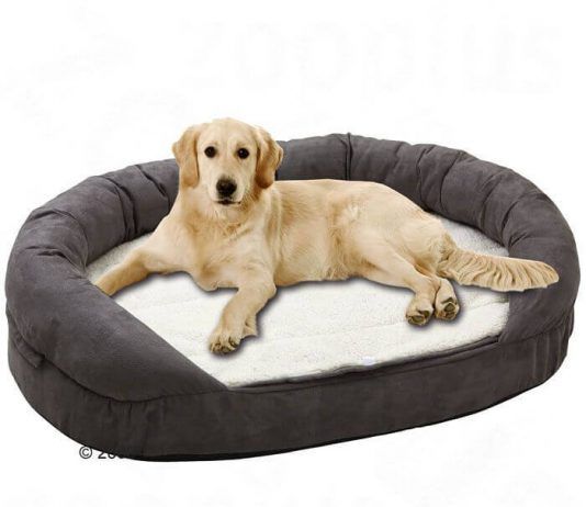 camas para perros