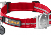 Consideraciones que debemos tomar en cuenta sobre los collares para perros collares para perros
