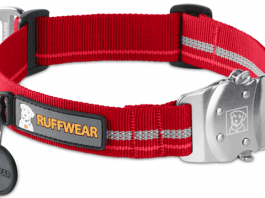 collares para perros