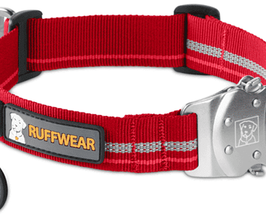 collares para perros