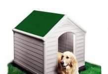 Las 6 preguntas y respuestas sobre las cuchas para perros cuchas para perros