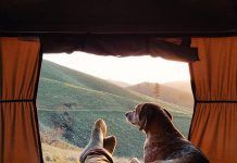 Camping que admiten perros