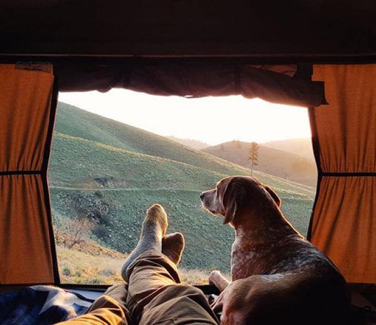 Camping que admiten perros
