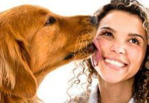 Razones por la que lamen los perros