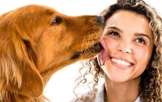 Razones por la que lamen los perros