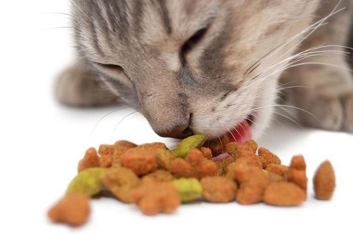 Alimentación del gato