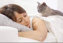 soñar con gatos