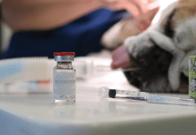 riesgo de la anestesia