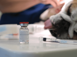 riesgo de la anestesia