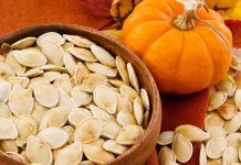 7 Desparasitantes Caseros para Perros Muy Efectivos! desparasitantes caseros para perros