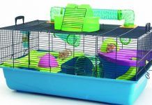 que jaula es mejor para un hámster