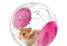 juguetes para hámsters