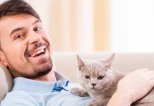 en qué ayudan los gatos a las personas