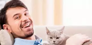 en qué ayudan los gatos a las personas